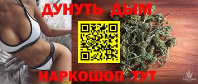 2c-b Кингисепп