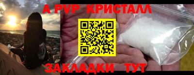 2c-b Кингисепп