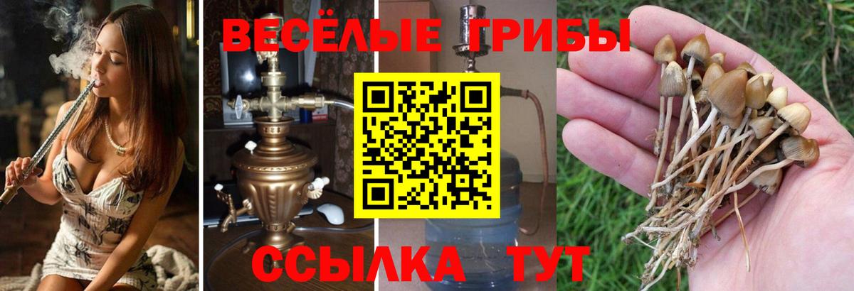 Галлюциногенные грибы прущие грибы  Вход с VPN  Галлюциногенные грибы прущие грибы  Дубна 