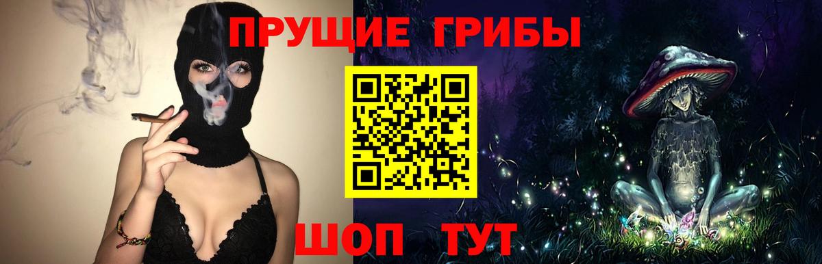Псилоцибиновые грибы GOLDEN TEACHER Дубна